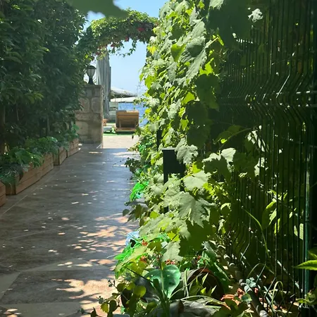 Lizbonia * 博德鲁姆