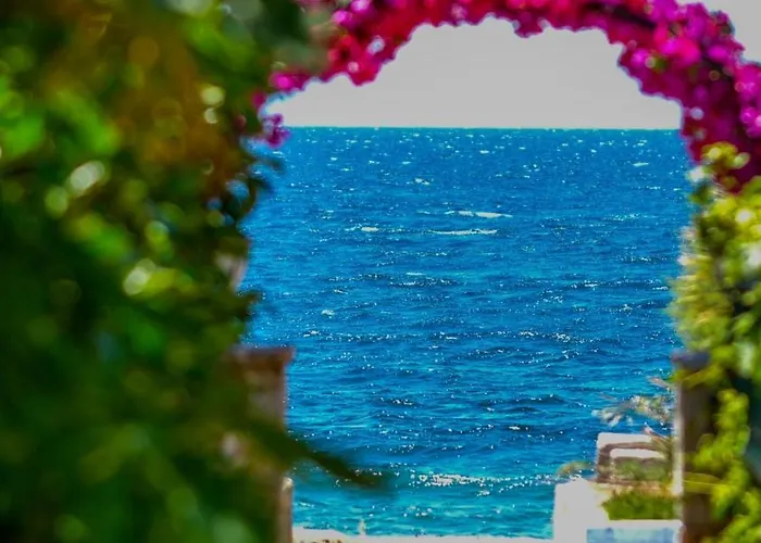 Ξενοδοχείο Lizbonia