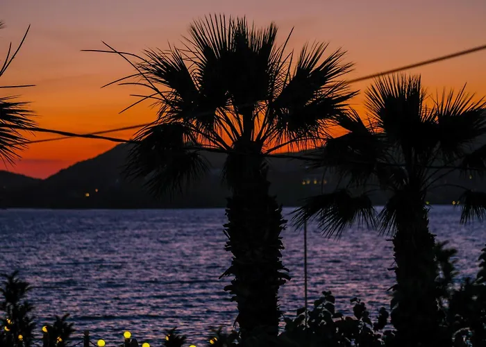 Lizbonia Ξενοδοχείο Αλικαρνασσός