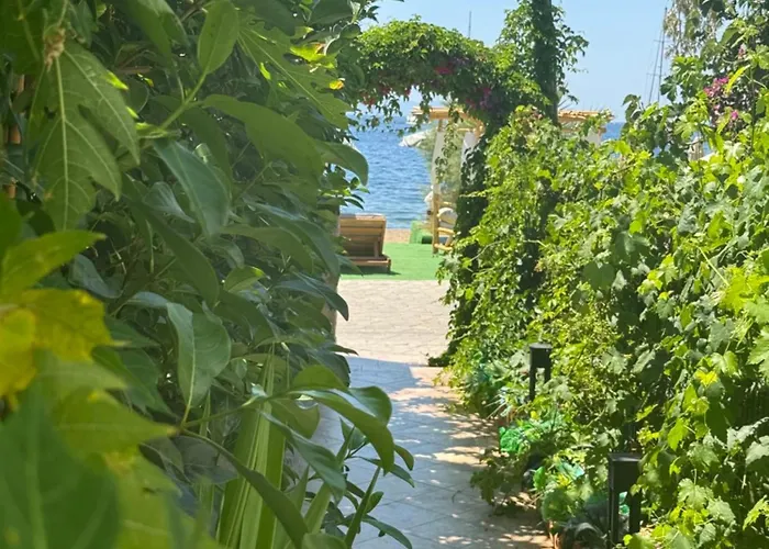 Lizbonia Ξενοδοχείο Αλικαρνασσός