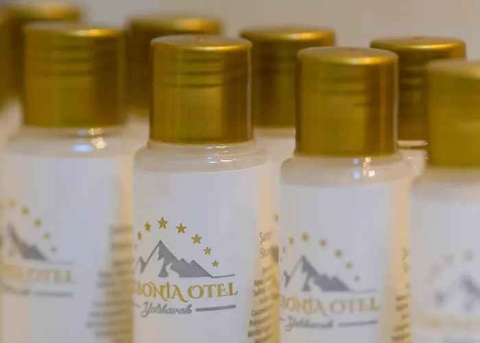 Ξενοδοχείο Lizbonia *