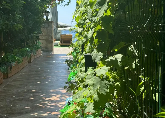 Lizbonia * Αλικαρνασσός